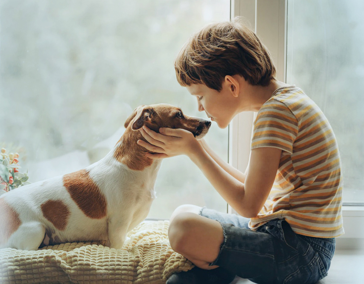 �������ʹ���-׷�󿵽�,����һ������