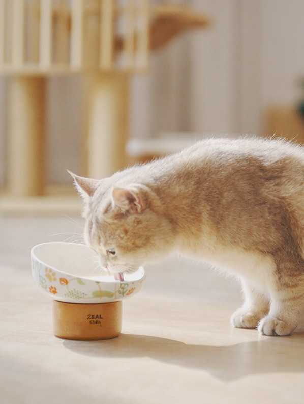 �������ʹ���-׷�󿵽�,����һ������