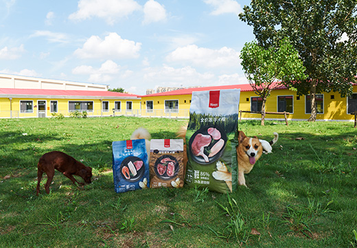 �������ʹ���-׷�󿵽�,����һ������