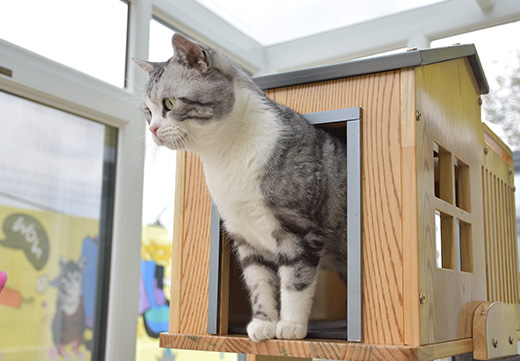 �������ʹ���-׷�󿵽�,����һ������