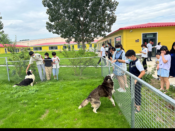 �������ʹ���-׷�󿵽�,����һ������