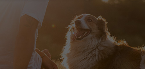 �������ʹ���-׷�󿵽�,����һ������